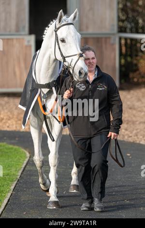 Caspers Court, geritten von Ben Godfrey und trainiert von Kayley Woollacott, lief in der Handicap Hürde in Wincanton am 21. März 2022 Stockfoto