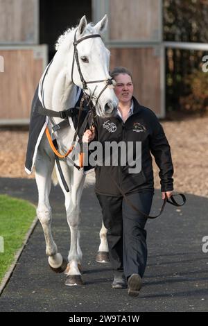 Caspers Court, geritten von Ben Godfrey und trainiert von Kayley Woollacott, lief in der Handicap Hürde in Wincanton am 21. März 2022 Stockfoto