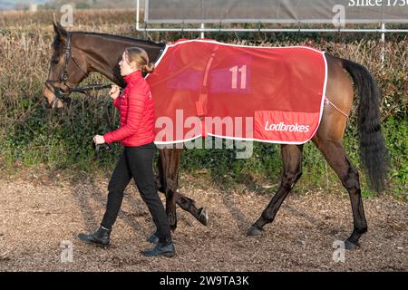 Night in Manhattan, geritten von Tristan Durrell und trainiert von Dan Skelton, lief in der Handicap Hürde in Wincanton, 21. März 2022 Stockfoto