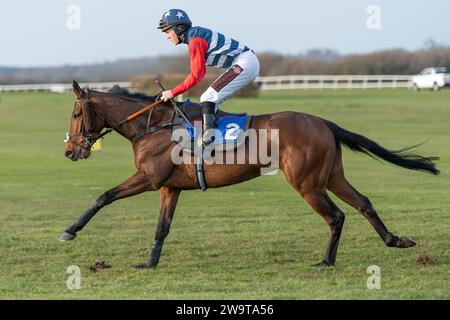 Novus Aditus, geritten von Kieren Buckley trainiert von Nigel Hawke, lief in der Handicap Hürde in Wincanton, 21. März 2022 Stockfoto