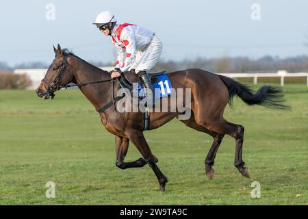 Night in Manhattan, geritten von Tristan Durrell und trainiert von Dan Skelton, lief in der Handicap Hürde in Wincanton, 21. März 2022 Stockfoto