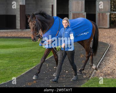 West Orchard, geritten von Brendan Powell und trainiert von Colin Tizzard, lief in der Klasse 5 Handicap Hürde in Wincanton am 21. März 2022 Stockfoto