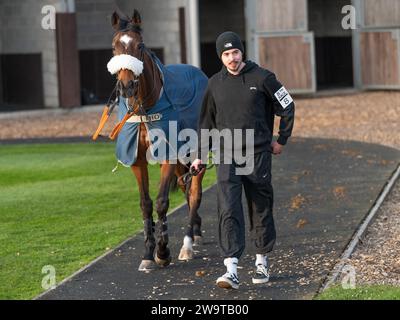 Auenwirbel, trainiert von Laura Young und geritten von Gavin Sheehan, im Vorparade-Ring in Wincanton, 21. März 2022 Stockfoto