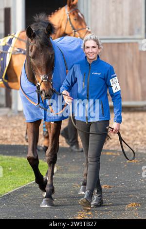 West Orchard, geritten von Brendan Powell und trainiert von Colin Tizzard, lief in der Klasse 5 Handicap Hürde in Wincanton am 21. März 2022 Stockfoto