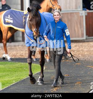 West Orchard, geritten von Brendan Powell und trainiert von Colin Tizzard, lief in der Klasse 5 Handicap Hürde in Wincanton am 21. März 2022 Stockfoto