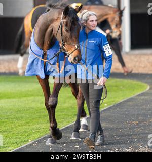 West Orchard, geritten von Brendan Powell und trainiert von Colin Tizzard, lief in der Klasse 5 Handicap Hürde in Wincanton am 21. März 2022 Stockfoto