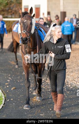 Fühlen Sie sich glücklich, von Tom Scudamore geritten und von David Pipe trainiert, in der Klasse 5 Handicap Hürde in Wincanton am 21. März 2022 Stockfoto