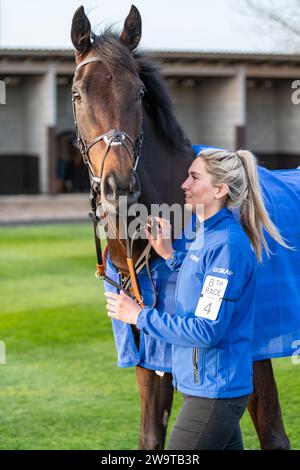 West Orchard, geritten von Brendan Powell und trainiert von Colin Tizzard, lief in der Klasse 5 Handicap Hürde in Wincanton am 21. März 2022 Stockfoto