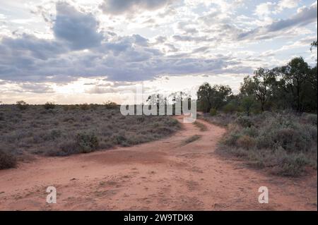 Rote Feldwege führen durch das Gestrüpp am Lake Pamamaroo Campground, Menindee, NSW, Australien. Stockfoto