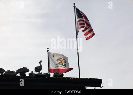 Santa Barbara, Kalifornien, USA, 29. Dezember 2023. Stearns Wharf, Santa Barbara, am 29. Dezember, nach Flut: Die Pelicaner ruhen sich auf dem Dach des Harbor View Restaurants aus, da ihre üblichen Abhänge dank der King Tides unter Wasser waren. Die Pelicaner befinden sich neben der Flagge der Kalifornien Republik und der amerikanischen Flagge. (Kreditbild: © Amy Katz/ZUMA Press Wire) NUR REDAKTIONELLE VERWENDUNG! Nicht für kommerzielle ZWECKE! Quelle: ZUMA Press, Inc./Alamy Live News Stockfoto