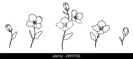 Dekorative Elemente Doodle Set einfache Blumen. Handgezeichnete Vektorillustration isoliert auf weißem Hintergrund. jasmin, Kirsche, Apfel, minimalistische Kontur Stock Vektor