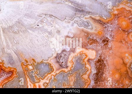 agate, Quarzgeode in versteinerter Holzfotografie. Textur mit Makrodetails. Nahaufnahme polierter Halbedelstein. Stockfoto