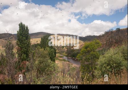 Tambo River von der großen Alpenstraße aus gesehen, Victoria, Australien Stockfoto
