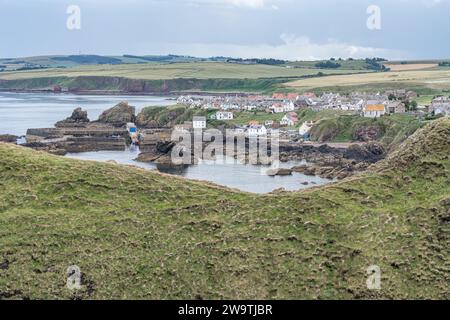 Blick auf die Stadt und den Hafen von den Klippen im Norden, St. Abbs, Schottland Stockfoto