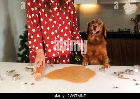 Eine junge Frau steht neben ihrem goldenen Retriever-Hund in der Küche Stockfoto