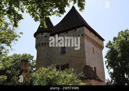 Manoir de la Salle (15. Jahrhundert) in Saint-Léon-sur-Vézère. Das Herrenhaus von La Salle besteht aus einem Herrenhaus und einem quadratischen Donjon mit Eckturm Stockfoto