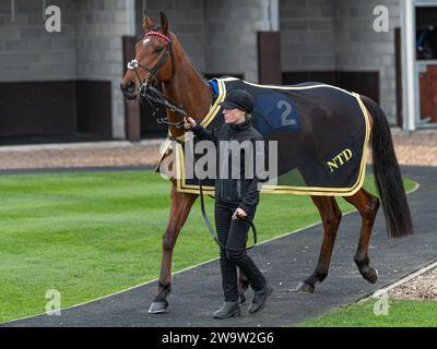 Poppa Poutine, geritten von Sam Twiston-Davies und trainiert von Nigel Twiston-Davies, gewann am 10. März 2022 in Wincanton über Zäune Stockfoto