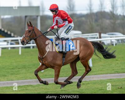 Poppa Poutine, geritten von Sam Twiston-Davies und trainiert von Nigel Twiston-Davies, gewann am 10. März 2022 in Wincanton über Zäune Stockfoto