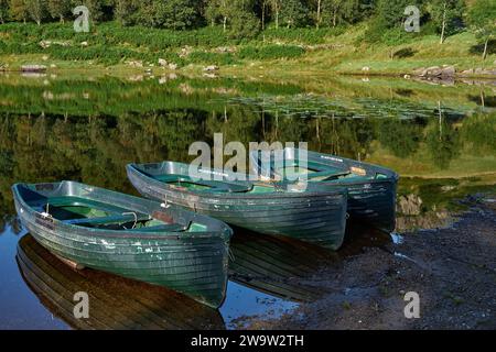 Ruderboote am Watendlath Tarn in der Seenplatte Cumbria Stockfoto