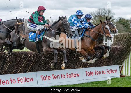 EDE'iffs Elton, Oscar Robertson, der Writ des Königs, geht Hals an Hals über den Zaun in Wincanton Stockfoto