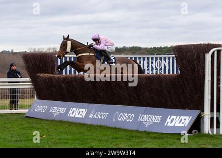 Ascot, Großbritannien. Dezember 2023. Horse Harper's Brooke (IRE), geritten von Jockey Kielan Woods, nimmt beim Howden Christmas Racing Weekend Meeting auf der Ascot Racecourse eine Hürde in der Howden Handicap Tureple Chase. Besitzer Der Megsons. Trainer Ben Pauling, Naunton. Sponsor Fitzdares. Kredit: Maureen McLean/Alamy Stockfoto