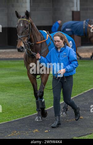 Kilfords Queen, geritten von Tabitha Worsley und trainiert von Nick Gifford, Rennen in Wincanton am 10. März 2022 Stockfoto