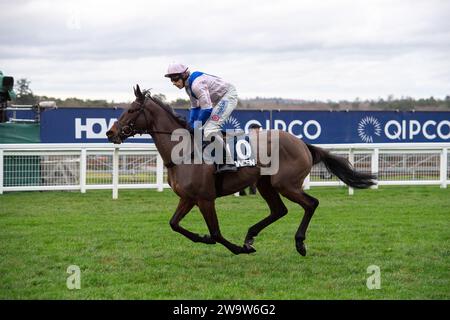 Ascot, Großbritannien. Dezember 2023. Horse West Balboa, geritten vom Jockey Harry Skelton, geht auf die Rennstrecke auf der Ascot Racecourse, um beim Howden Long Walk Hürdenrennen am Howden Christmas Racing Weekend zu Rennen. Besitzer Bullen-Smith und Faulks. Trainer Dan Skelton, Alcester. Sponsor Ladbrokes, Air Ambulance Service (Warwickshire & Northamptonshire). Kredit: Maureen McLean/Alamy Stockfoto