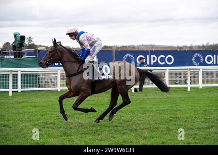 Ascot, Großbritannien. Dezember 2023. Horse West Balboa, geritten vom Jockey Harry Skelton, geht auf die Rennstrecke auf der Ascot Racecourse, um beim Howden Long Walk Hürdenrennen am Howden Christmas Racing Weekend zu Rennen. Besitzer Bullen-Smith und Faulks. Trainer Dan Skelton, Alcester. Sponsor Ladbrokes, Air Ambulance Service (Warwickshire & Northamptonshire). Kredit: Maureen McLean/Alamy Stockfoto