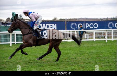 Ascot, Großbritannien. Dezember 2023. Horse West Balboa, geritten vom Jockey Harry Skelton, geht auf die Rennstrecke auf der Ascot Racecourse, um beim Howden Long Walk Hürdenrennen am Howden Christmas Racing Weekend zu Rennen. Besitzer Bullen-Smith und Faulks. Trainer Dan Skelton, Alcester. Sponsor Ladbrokes, Air Ambulance Service (Warwickshire & Northamptonshire). Kredit: Maureen McLean/Alamy Stockfoto