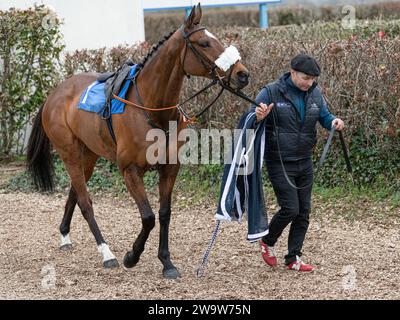 Maliboo, geritten von Sam Twiston-Davies und trainiert von Neil Mulholland, lief am 10. März 2022 in Wincanton über Zäune Stockfoto