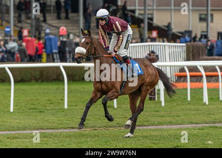 Maliboo, geritten von Sam Twiston-Davies und trainiert von Neil Mulholland, lief am 10. März 2022 in Wincanton über Zäune Stockfoto