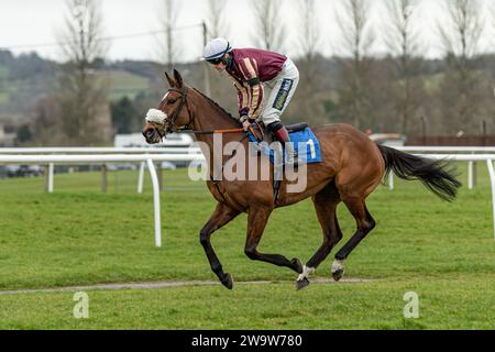 Maliboo, geritten von Sam Twiston-Davies und trainiert von Neil Mulholland, lief am 10. März 2022 in Wincanton über Zäune Stockfoto