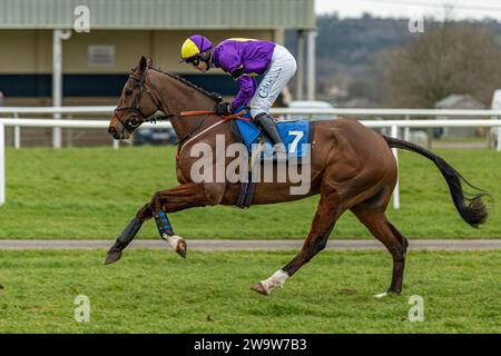 König Orry, geritten von Sean Houlihan und trainiert von Susan Gardner, Rennen in Wincanton über Zäune, 10. März 2022 Stockfoto