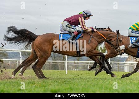 Maliboo, geritten von Sam Twiston-Davies und trainiert von Neil Mulholland, lief am 10. März 2022 in Wincanton über Zäune Stockfoto