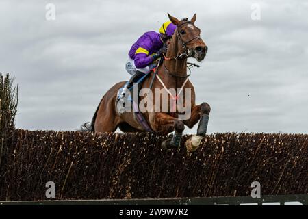 König Orry, geritten von Sean Houlihan und trainiert von Susan Gardner, Rennen in Wincanton über Zäune, 10. März 2022 Stockfoto