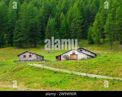 Steinscheune im Rosegtal, Alpine St. Moritz, Schweiz Stockfoto