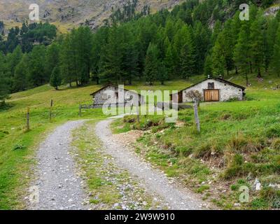 Steinscheune im Rosegtal, Alpine St. Moritz, Schweiz Stockfoto