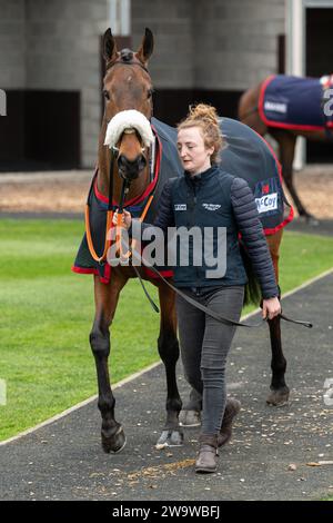 Tiger by the tail, geritten von Aidan Coleman und trainiert von Olly Murphy, lief über Hürden in Wincanton, 10. März 2022 Stockfoto