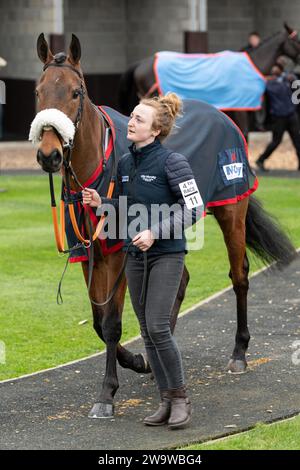 Tiger by the tail, geritten von Aidan Coleman und trainiert von Olly Murphy, lief über Hürden in Wincanton, 10. März 2022 Stockfoto