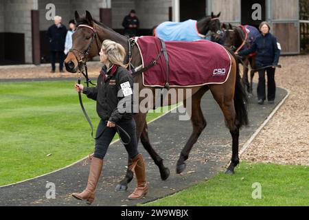 Wrong Shape Ball, geritten von James Bowen und trainiert von Nicky Martin, Rennen über Hürden in Wincanton am 10. März 2022 Stockfoto