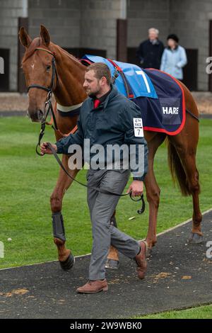 Tanz mit Feuer, geritten von Tom Bellamy und trainiert von Alan King, läuft über Hürden in Wincanton, 10. März 2022 Stockfoto