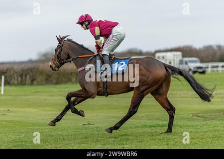 Wrong Shape Ball, geritten von James Bowen und trainiert von Nicky Martin, Rennen über Hürden in Wincanton am 10. März 2022 Stockfoto