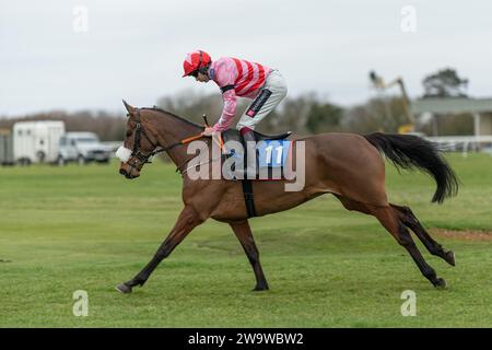 Tiger by the tail, geritten von Aidan Coleman und trainiert von Olly Murphy, lief über Hürden in Wincanton, 10. März 2022 Stockfoto