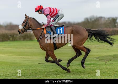 Tigerbythetail, geritten von Aidan Coleman und trainiert von Olly Murphy, Rennen in der Handicap Hürde in Wincanton, 10. März 2022 Stockfoto