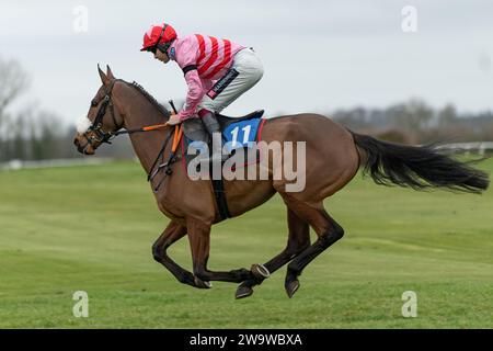 Tigerbythetail, geritten von Aidan Coleman und trainiert von Olly Murphy, Rennen in der Handicap Hürde in Wincanton, 10. März 2022 Stockfoto