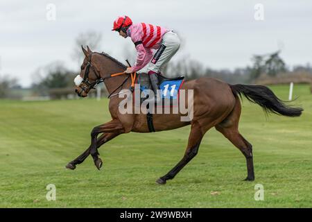 Tigerbythetail, geritten von Aidan Coleman und trainiert von Olly Murphy, Rennen in der Handicap Hürde in Wincanton, 10. März 2022 Stockfoto