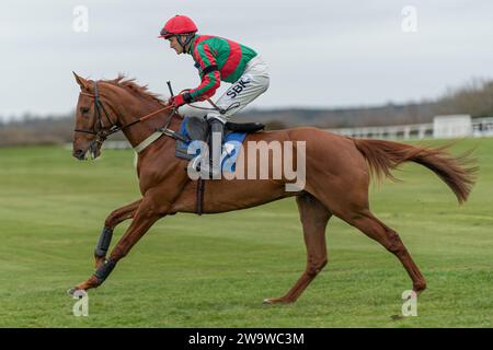 Tanz mit Feuer, geritten von Tom Bellamy und trainiert von Alan King, Rennen über Hürden in Wincanton, 10. März 2022 Stockfoto