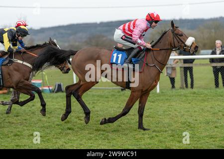 Tigerbythetail, geritten von Aidan Coleman und trainiert von Olly Murphy, Rennen in der Handicap Hürde in Wincanton, 10. März 2022 Stockfoto