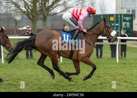 Tigerbythetail, geritten von Aidan Coleman und trainiert von Olly Murphy, Rennen in der Handicap Hürde in Wincanton, 10. März 2022 Stockfoto