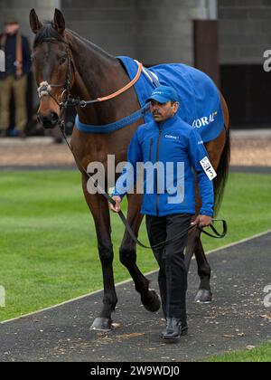 Bold Conduct, geritten von Brendan Powell und trainiert von Colin Tizzard, Rennen in Wincanton, 10. März 2022 Stockfoto